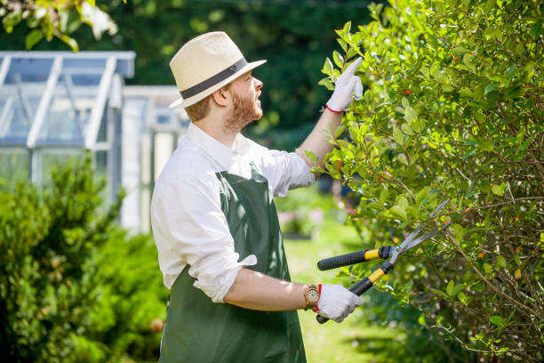 istock young gardener with a professional tools and equipment 821609096