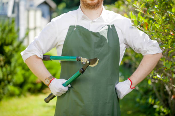 istock young gardener with a professional tools and equipment 821611584