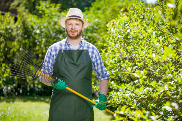 istock young gardener with a professional tools and equipment 821611814