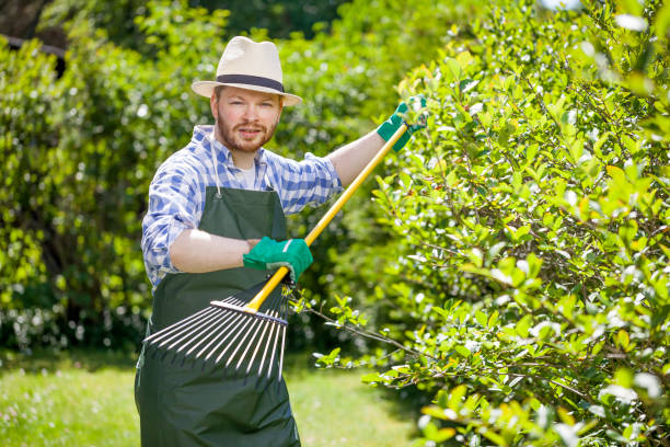 istock young gardener with a professional tools and equipment 821612424