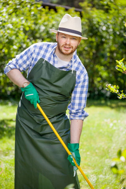 istock young gardener with a professional tools and equipment 821614452