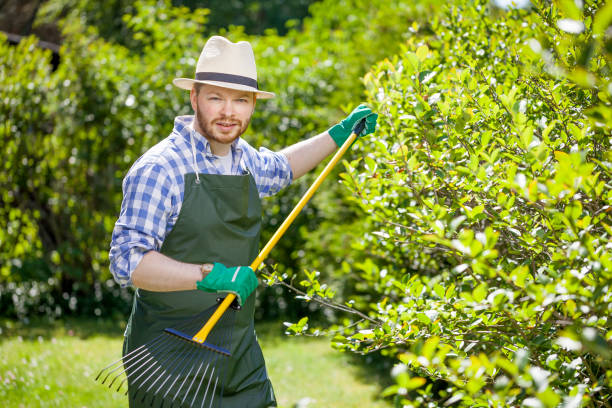 istock young gardener with a professional tools and equipment 821614696
