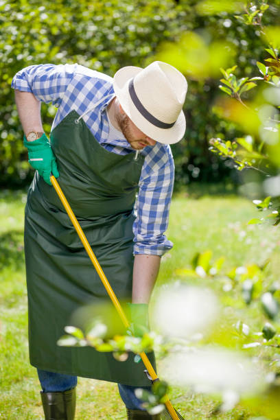 istock young gardener with a professional tools and equipment 821614804