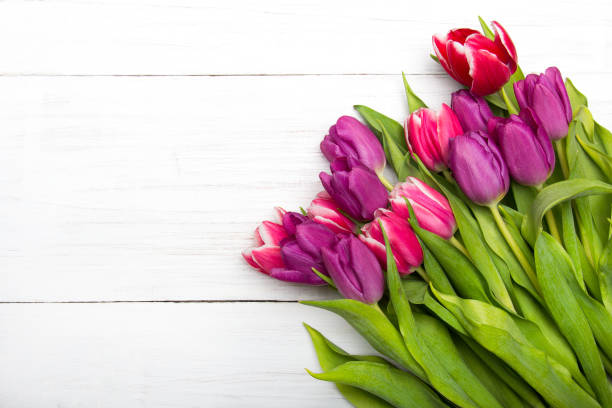 istock Tulip bouquet on white wooden background, copy space 821615232