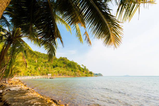 istock Tropical landscape of Koh Chang 821617748