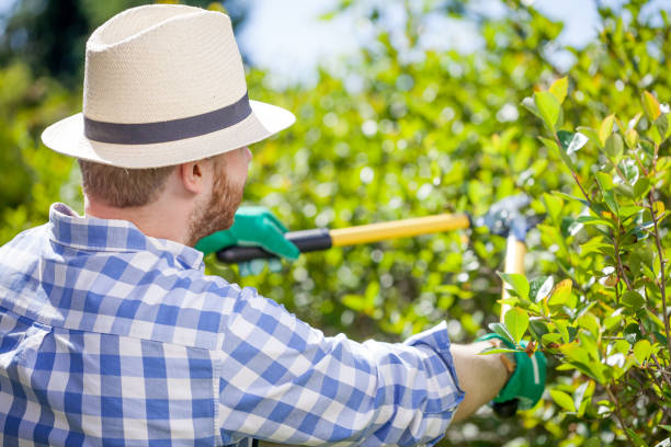 istock young gardener with a professional tools and equipment 821619040