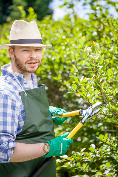 istock young gardener with a professional tools and equipment 821619100