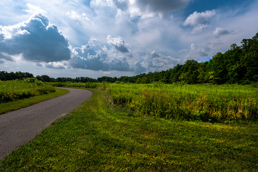 A small paved road twists and turns  through a large green meadow surrounded by green trees.  A dramatic cloudy sky is in the background.