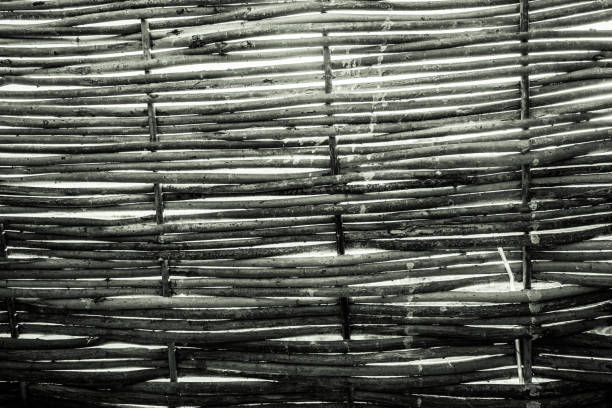 istock Texture of the fence from the vine 821621620