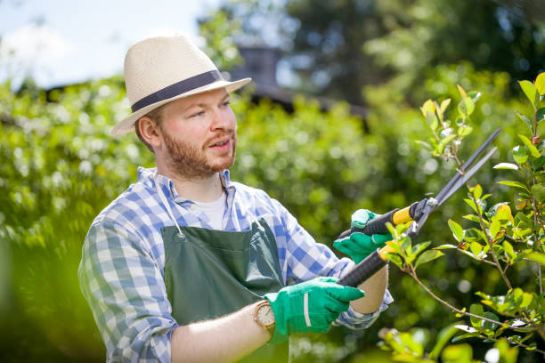 istock young gardener with a professional tools and equipment 821622018