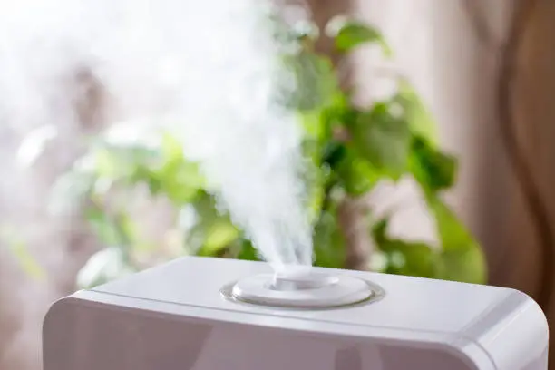 Photo of Humidifier in the house