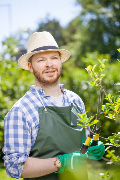istock young gardener with a professional tools and equipment 821624726