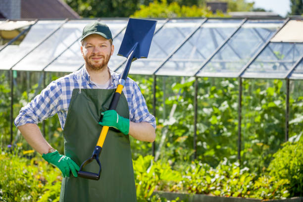 istock portrait of a smiling greenhouse worker 821625532