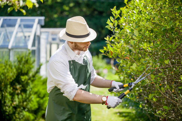 istock young gardener with a professional tools and equipment 821628030