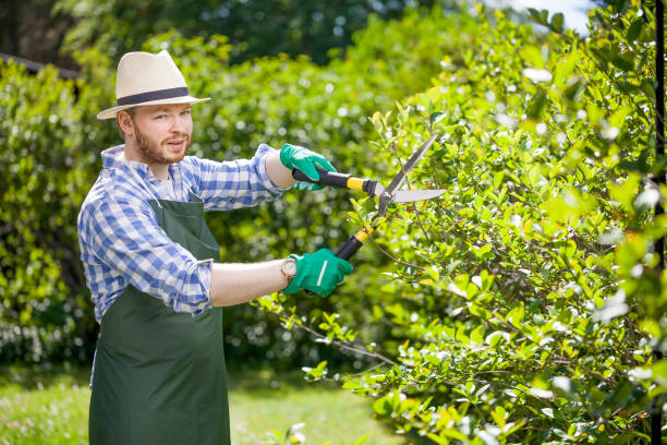 istock young gardener with a professional tools and equipment 821628324