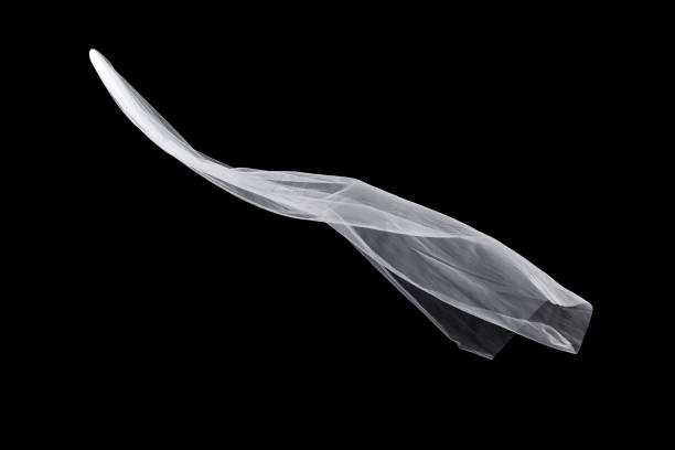 istock wedding white Bridal veil isolated on black background 821637240