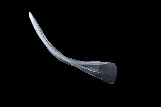 istock wedding white Bridal veil isolated on black background 821637290