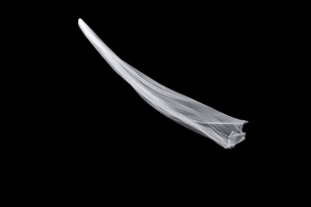 istock wedding white Bridal veil isolated on black background 821637418