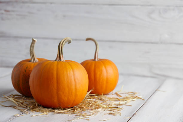 istock Orange halloween pumpkins on white planks 821637520
