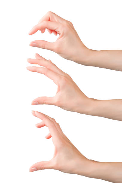 istock Woman hands set holding or measuring something 821656306