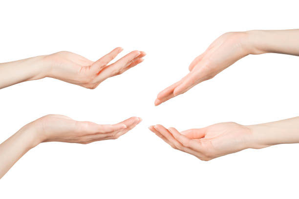 istock Woman hands holding, showing, giving or supporting something set 821658508