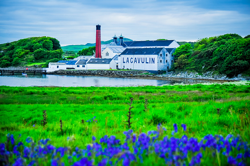 Islay, Scotland, United Kingdom - June 2, 2014: A view of the Lagavulin Distillery from a lush field with Bluebells, Islay, Scotland, United Kingdom