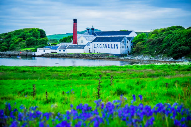 The Lagavulin Distillery Islay, Scotland, United Kingdom - June 2, 2014: A view of the Lagavulin Distillery from a lush field with Bluebells, Islay, Scotland, United Kingdom bowmore whisky stock pictures, royalty-free photos & images