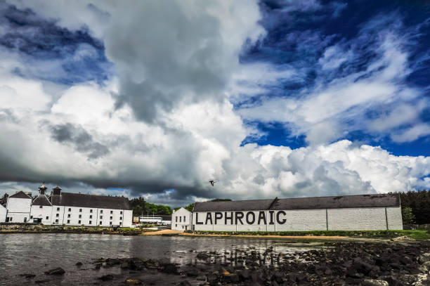 A bird flies across a dramatic sky set over the Laphroaig Distillery Islay, Scotland, United Kingdom - June 3, 2014: Dramatic cloud formation, and bird, over the Laphroaig Distillery on a summer afternoon, Islay, Scotland, United Kingdom bowmore whisky stock pictures, royalty-free photos & images