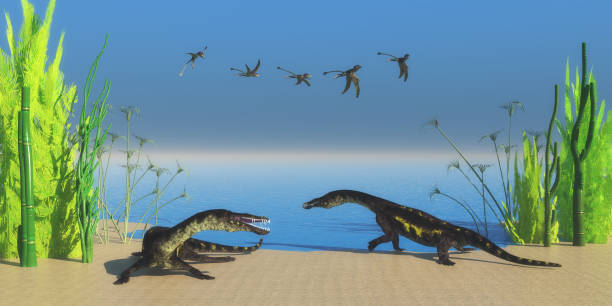 spiaggia dei rettili di nothosaurus - prehistoric antiquity foto e immagini stock