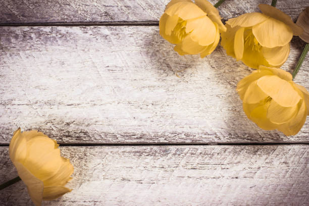 istock flowers on wooden background with copy space. celebration template concept. 821665962