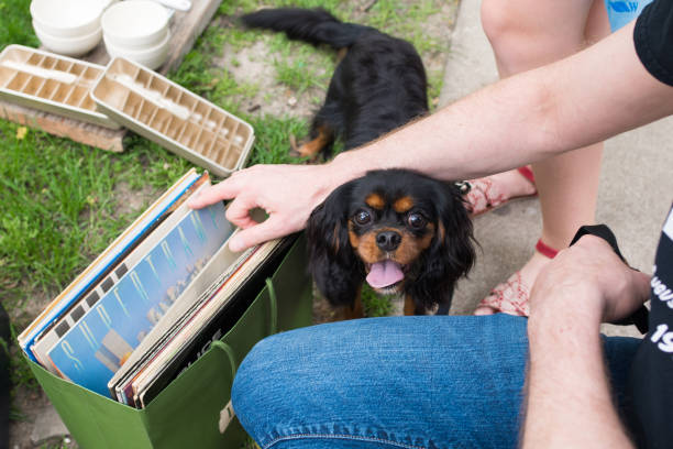 ヤードセールでコミュニティ所有者近くにかわいい犬が立っています。 - garage sale audio ストックフォトと画像