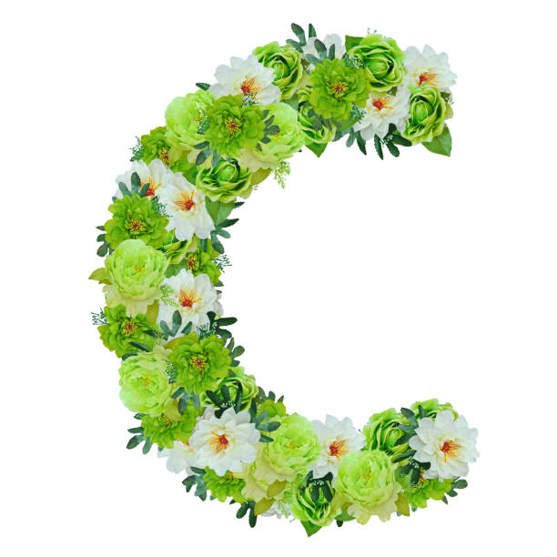 istock Letter C from green and white flowers isolated on white 821672634