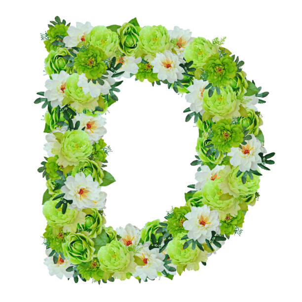 istock Letter D from green and white flowers isolated on white 821672832