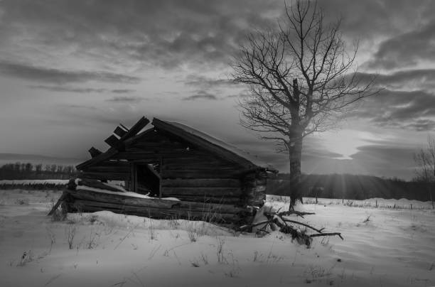 1906 Vintage Homestead