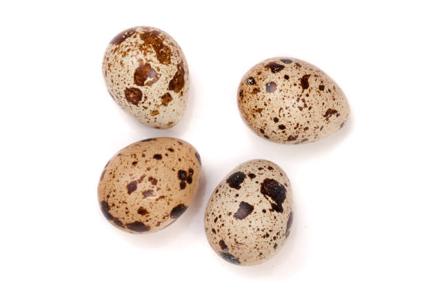istock four quail eggs isolated on white background. Top view 821681952