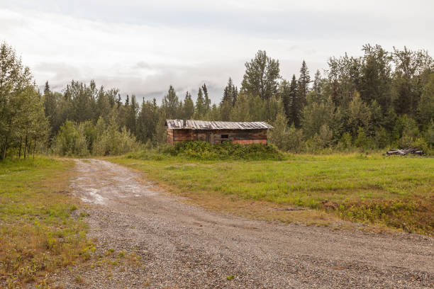Old deserted homestead on the Alaska Highway, BC