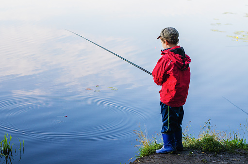 Little boy catches fish in a pond on a summer morning