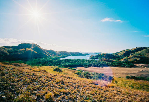 istock Rinca Island 821711760