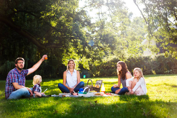 istock Family Picnic Outdoors Togetherness Relaxation Concept 821712324