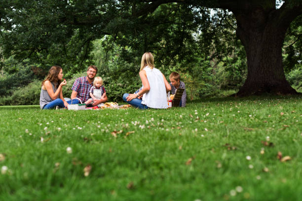 istock Family Generations Picnic Togetherness Relaxation Concept 821712346