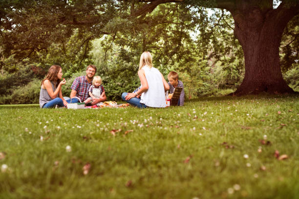 istock Family Generations Picnic Togetherness Relaxation Concept 821712358