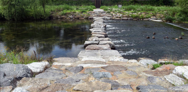 stepping stones - stepping stone stone stepping footpath 뉴스 사진 이미지