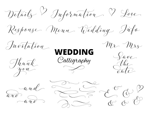 Wedding calligraphy isolated on white. Save the date, love, thank you, menu words. Ampersands and catchwords. Great for wedding invitations, cards, photo overlays.