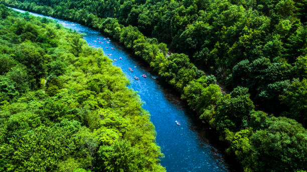 rafting at the lehigh river near by jim thorp (mauch chunk), carbon county, poconos region, pennsylvania - lehigh river imagens e fotografias de stock