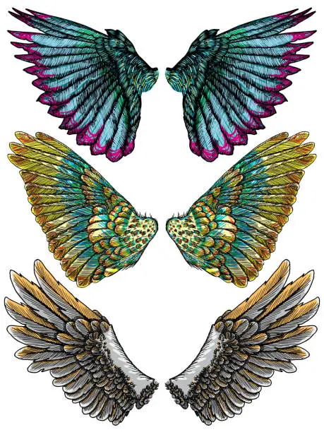 Vector illustration of Colourful wings set. Hand drawn detailed colorful wings collection. Vintage tattoo isolated on white background. Design elements for body art concept. Vector.