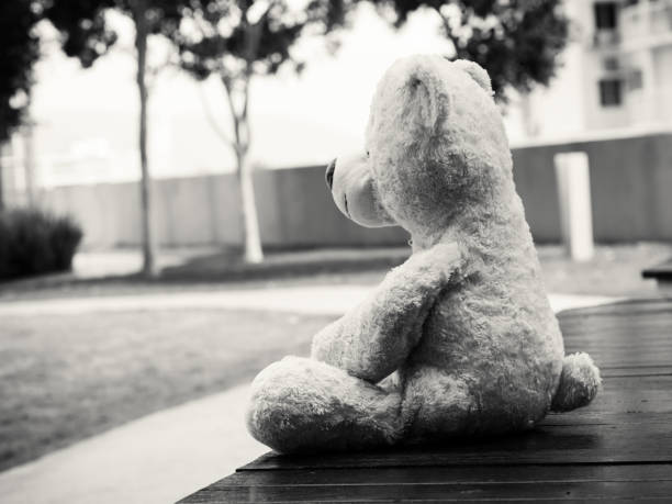 istock Black and white lonely Teddy Bear Sitting on the garden looking out side  (Concept about love) 821726332
