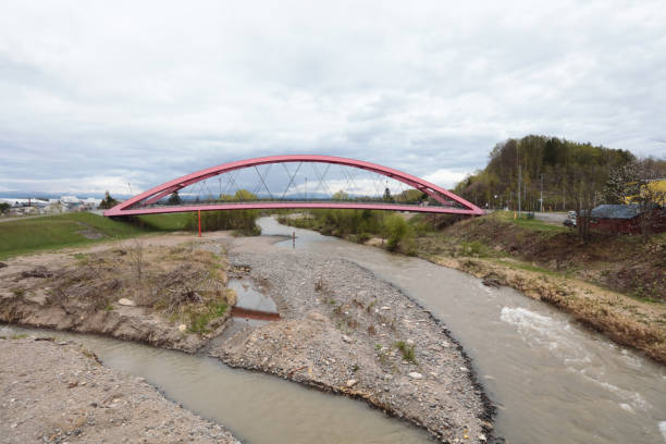 bridge between Mannheim and Ludwigshafen