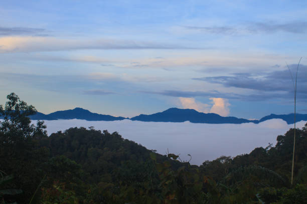 istock sea of fog with forests as foreground 821730704