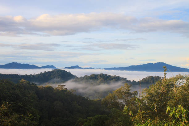 istock sea of fog with forests as foreground 821730888