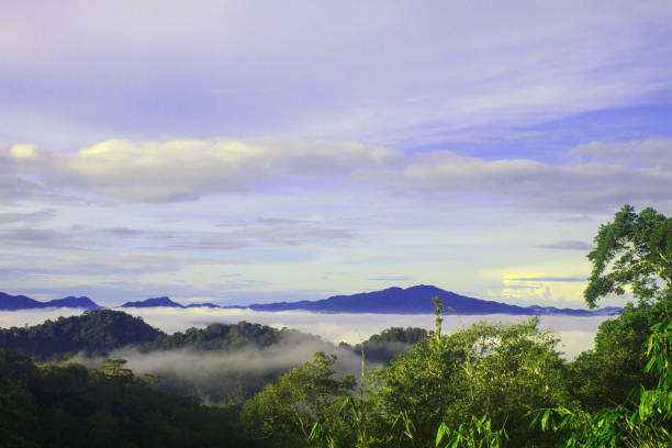 istock sea of fog with forests as foreground 821730964